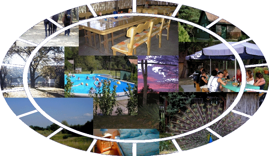 Ferienhof Herzog-Tanya / Pension & Camping